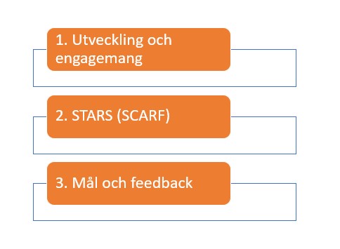 Yesbox Medarbetarundersökningar